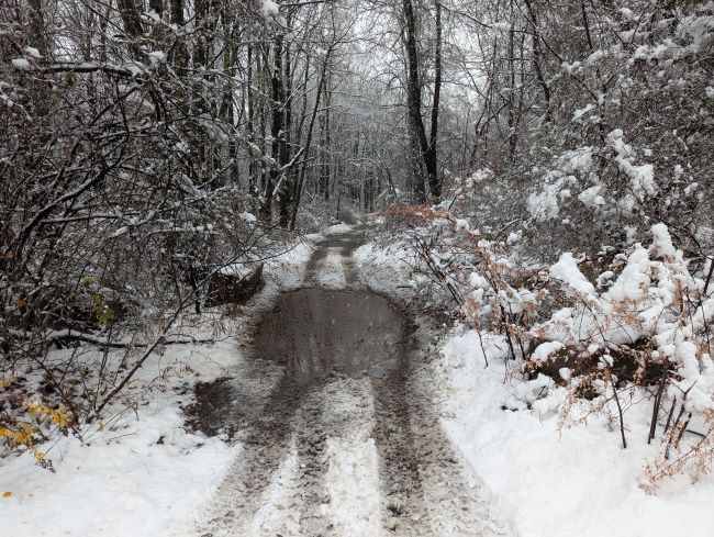First Snow 2024