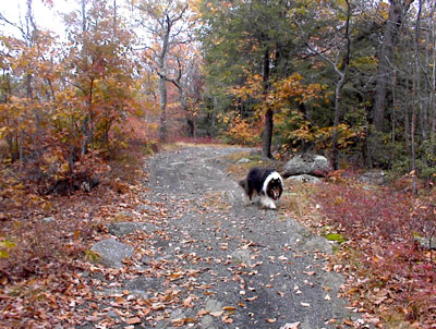 Bearfort Mountain