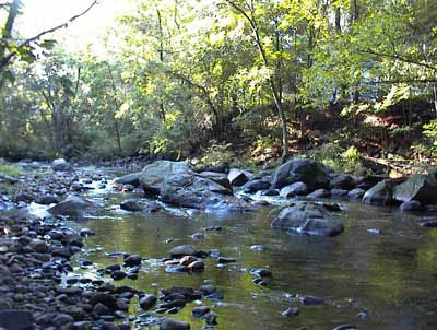 Pequannock River