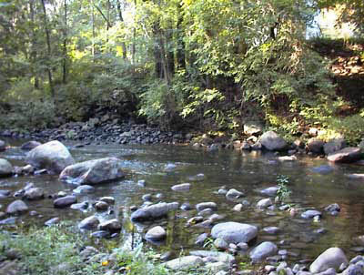 Pequannock River