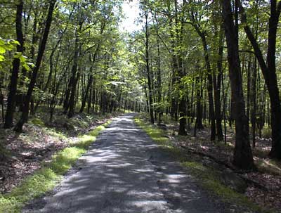 High Point State Park