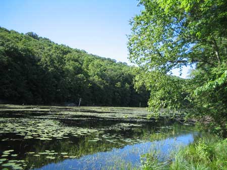 Wawayanda State Park