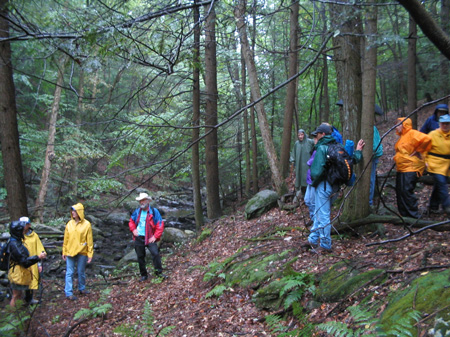 Macopin Gorge in West Milford, New Jersey