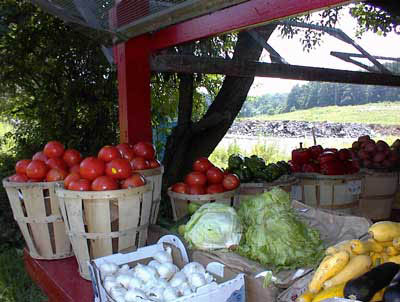 Fresh summer vegetables at a farm stand near Hardystown, New Jersey