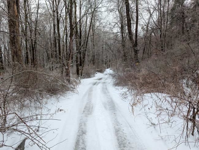 Wintry Kanouse Road