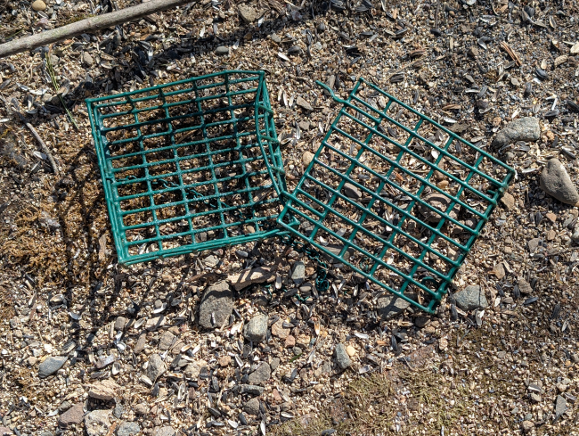 Bear damaged suet feeder