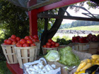 Farm stands in Northern New
                                      Jersey, Route 23 near Hardyston,
                                      New Jersey