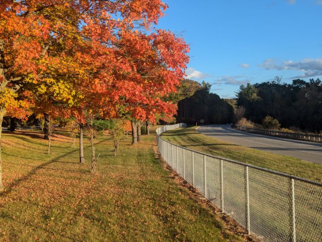 Autumn lights along
                                                      route 23