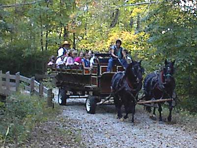 Horse carriage ride through Long Pond Ironworks National Historic Area in Hewitt, New Jersey