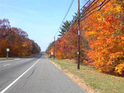 rt23