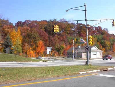 rt231