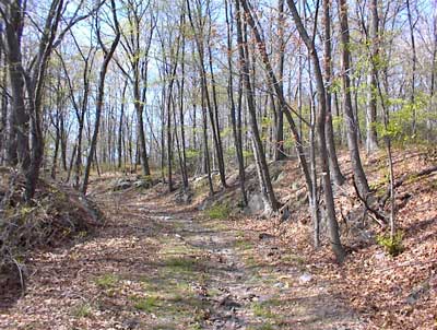 Fire Tower Ridge Trail in West Milford