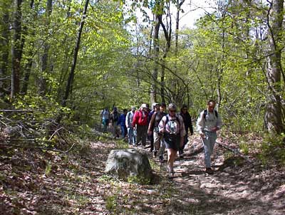 Spring Hike by the Pequannock River Coalition through woodlands near Hardyston, New Jersey