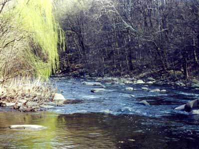 The Pequannock River in Bloomingdale, New Jersey