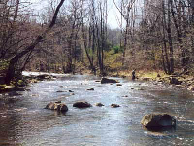 Opening day of Trout Fishing on the Pequannock River in Northern New Jersey