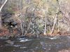 Pequannock River in Riverdale, New Jersey