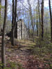 Old foundation near Hanks Pond in West Milford