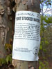 Trout stocked waters in Appel Park in Riverdale, New Jersey