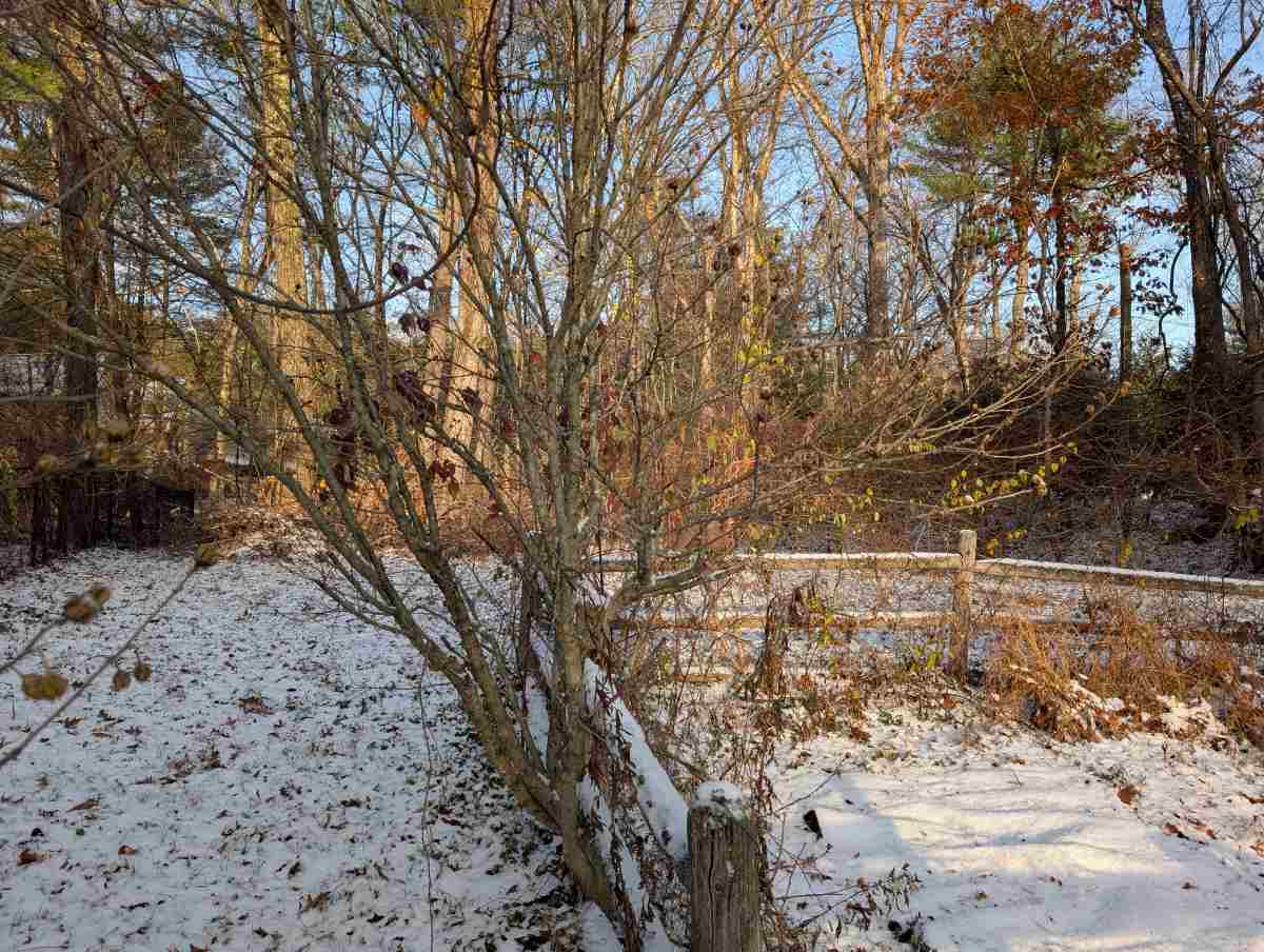 first snowfall in northern New Jersey